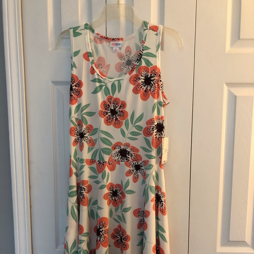 LuLaRoe Nicki